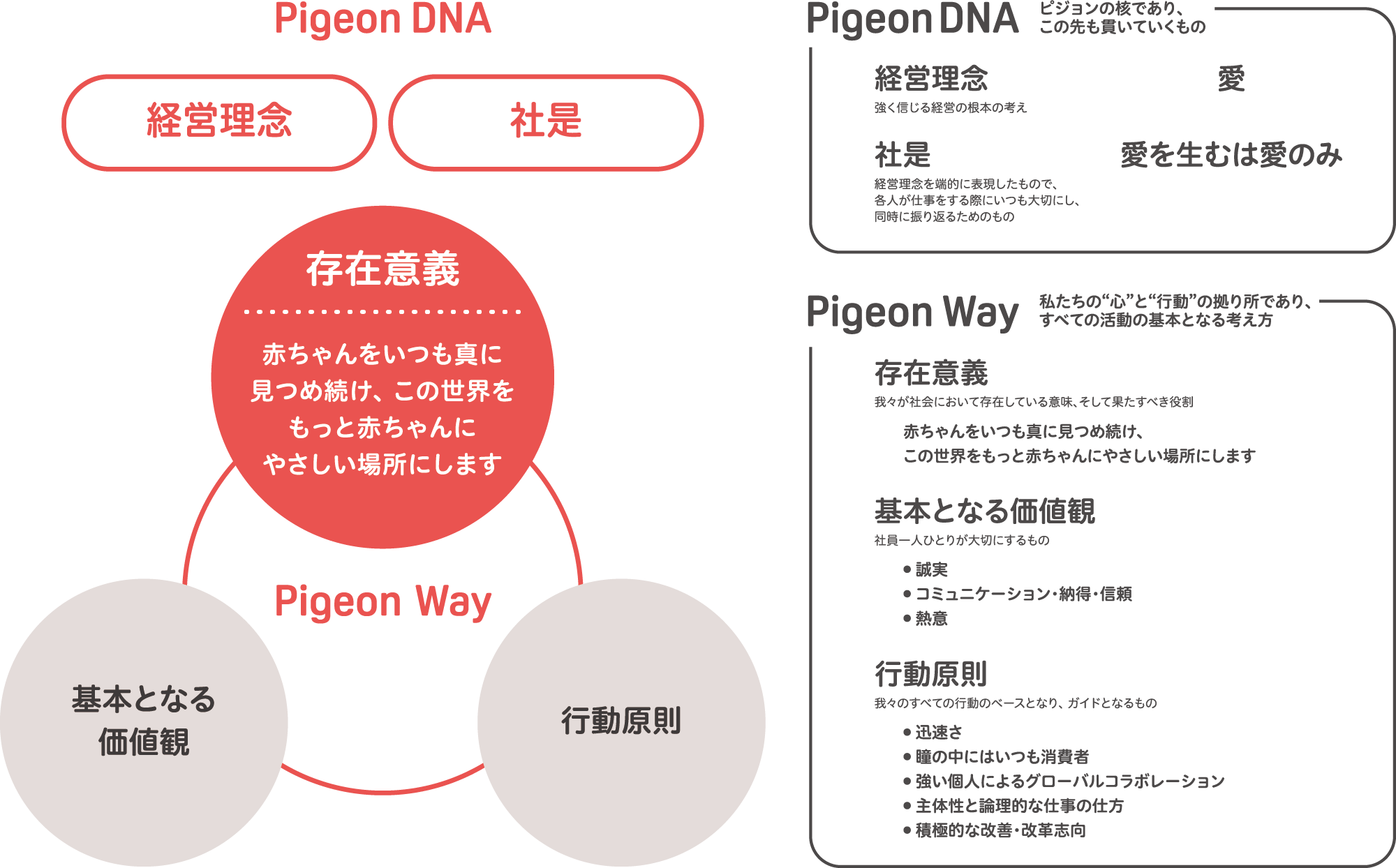 Pigeon DNA・Pigeon Wayの図