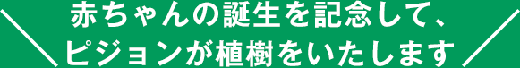 赤ちゃんの誕生を記念して、ピジョンが植樹をいたします