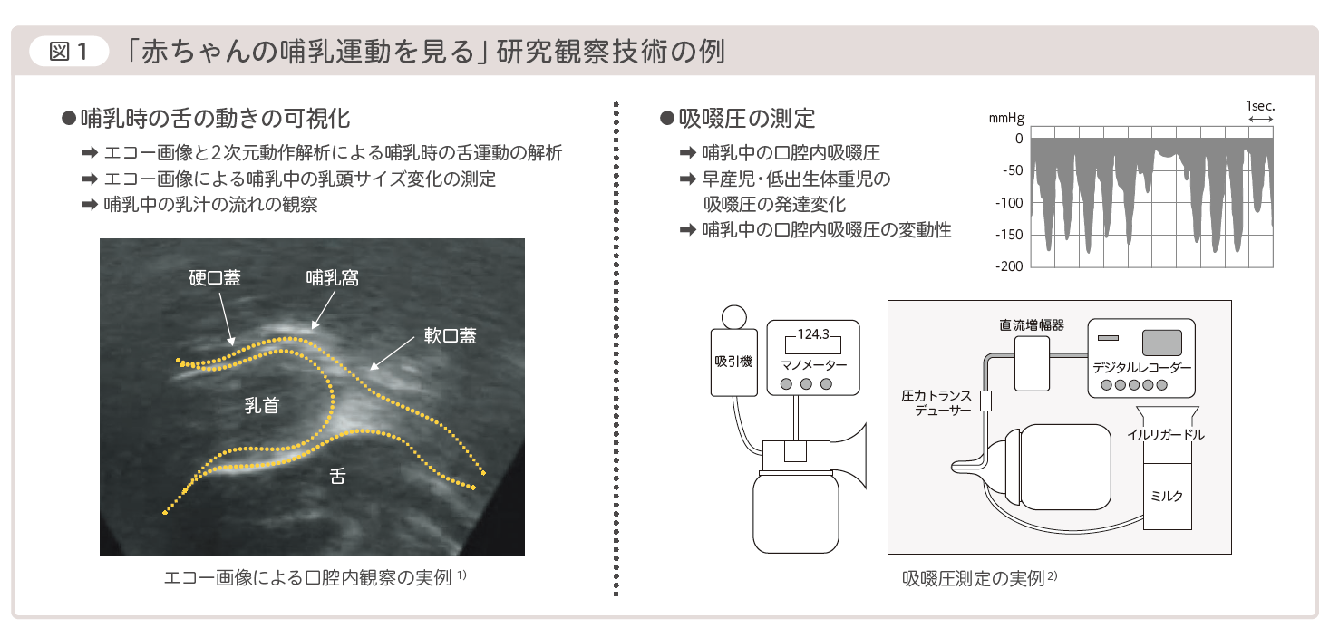 図1「赤ちゃんの哺乳運動を見る」研究観察技術の例