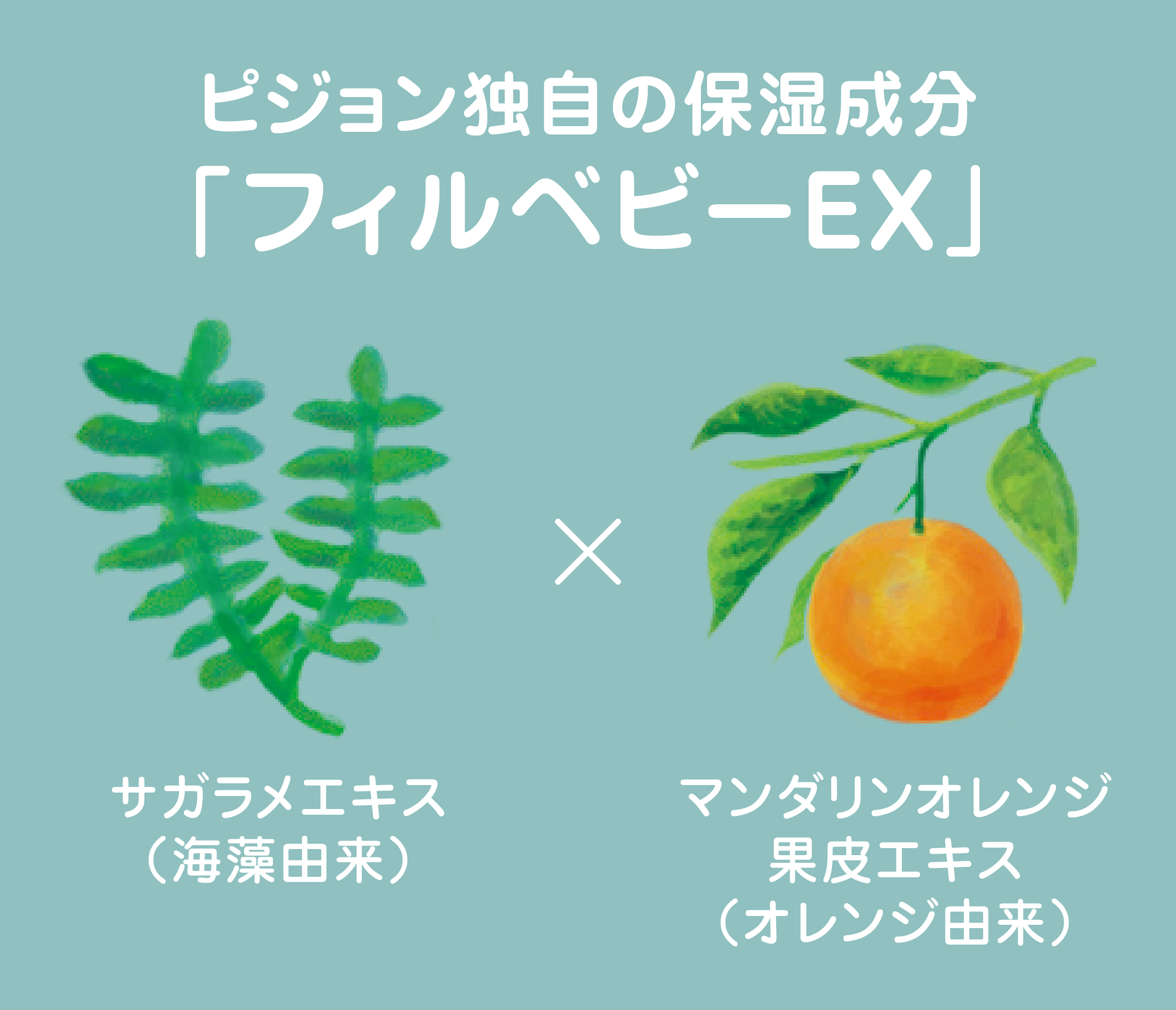 ピジョン独自の保湿成分「フィルベビーEX」の図