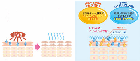 ピジョン　セラミドとヒアルロン酸配合で、うるおいを与えながらUVケア