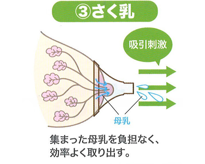 さく乳器を使う上で大切な３つのステップ